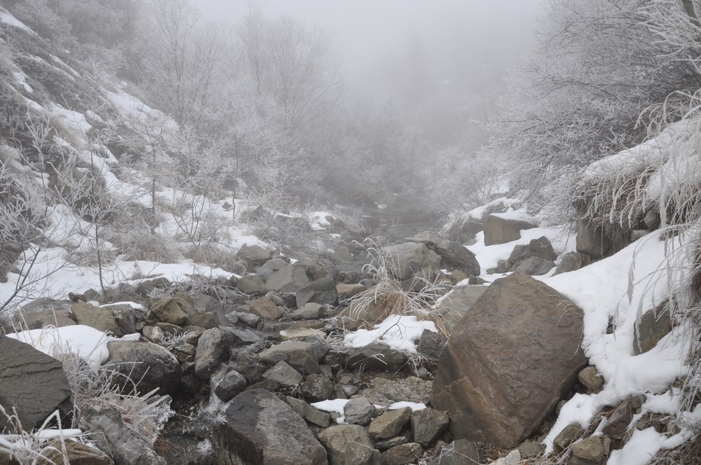 Torrent sous le brouillard matinal